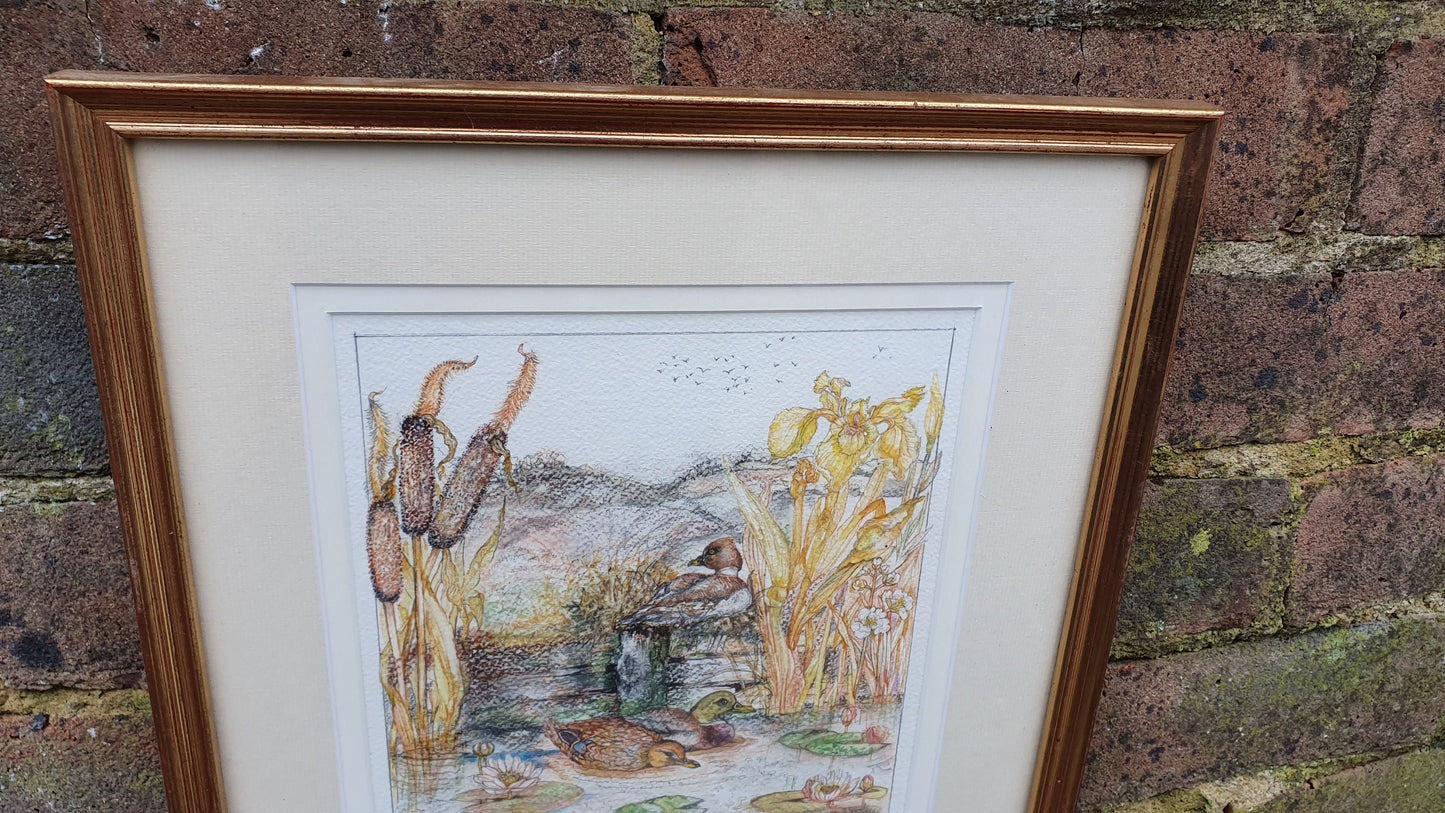 Delightful Ducks on a Pond Illustration Signed Vintage Original Artwork British Wildlife Flowers Framed