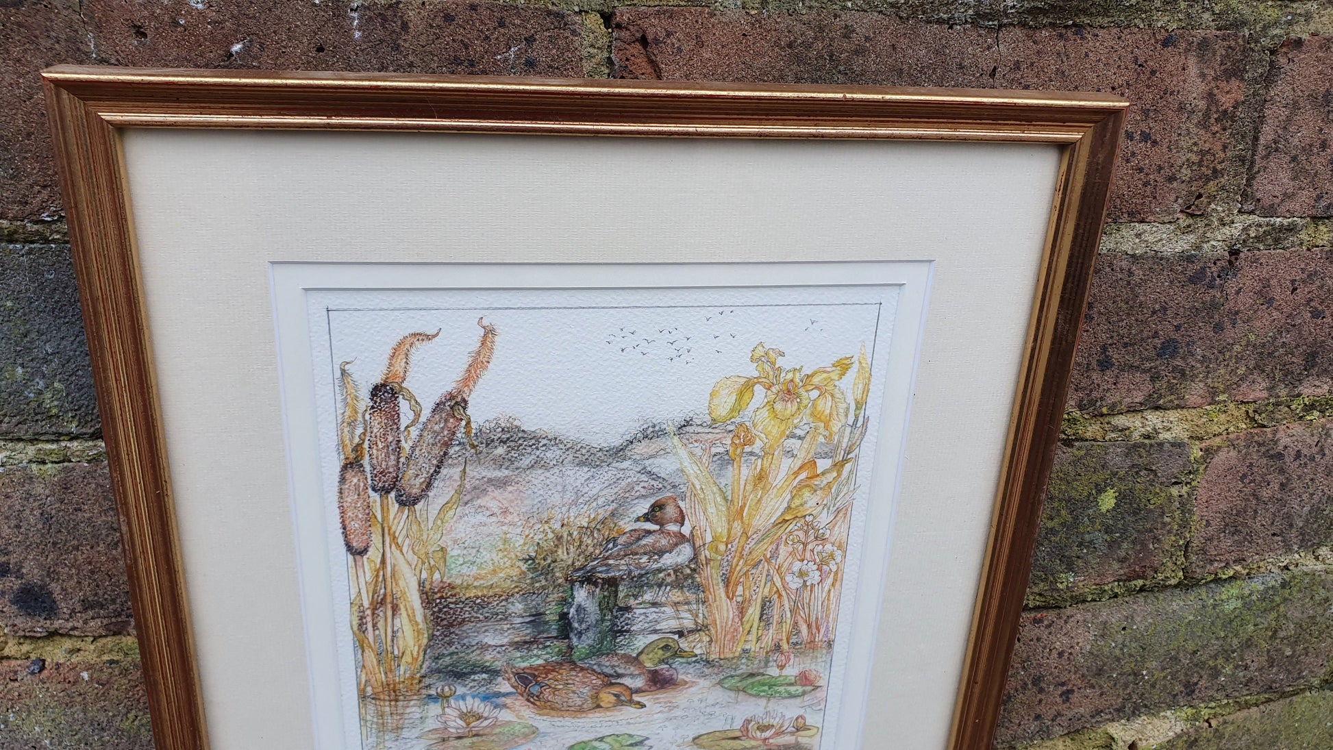 Delightful Ducks on a Pond Illustration Signed Vintage Original Artwork British Wildlife Flowers Framed