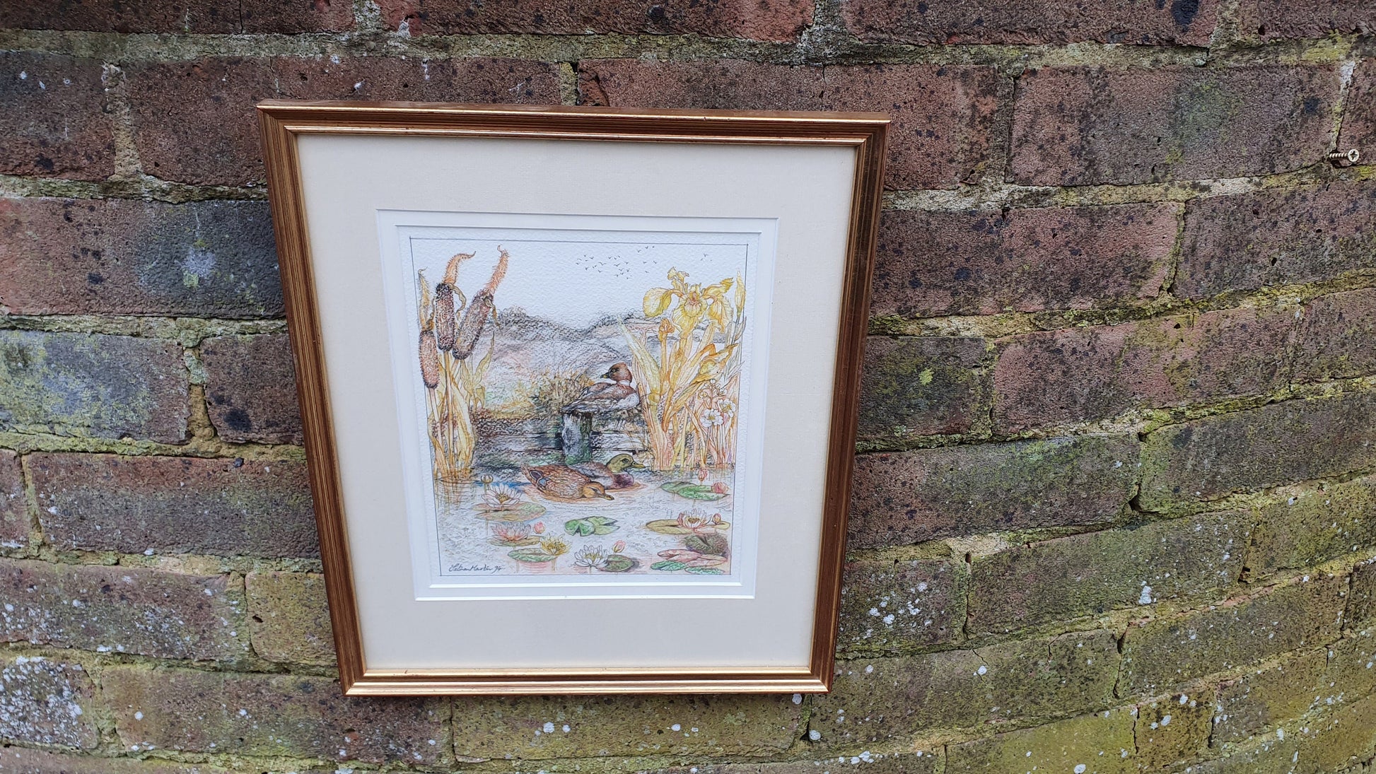 Delightful Ducks on a Pond Illustration Signed Vintage Original Artwork British Wildlife Flowers Framed