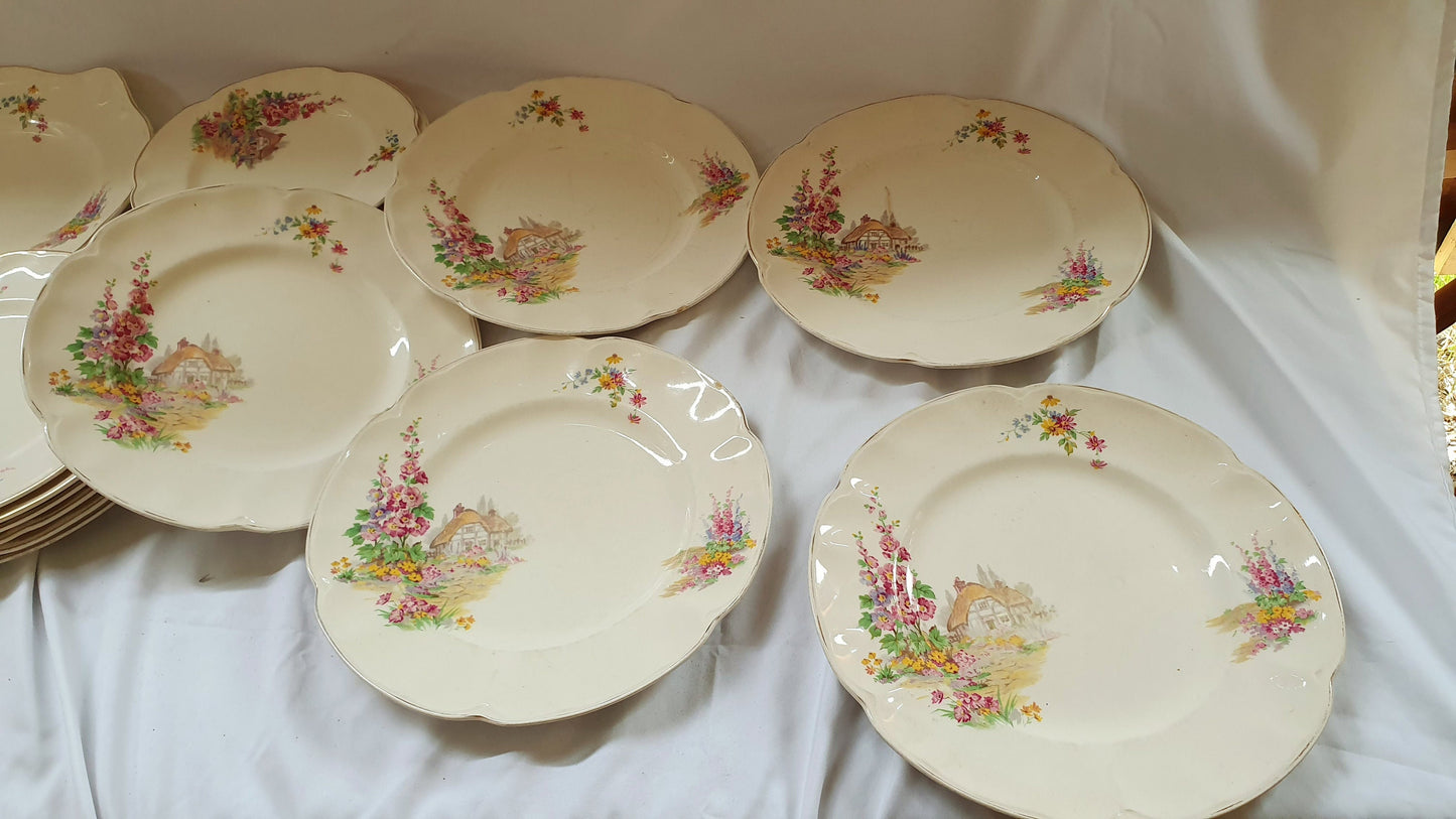Charming ‘Pareek’ Vintage Retro Cottage Flowers Floral Dinner Service Johnson Brothers Hand Painted