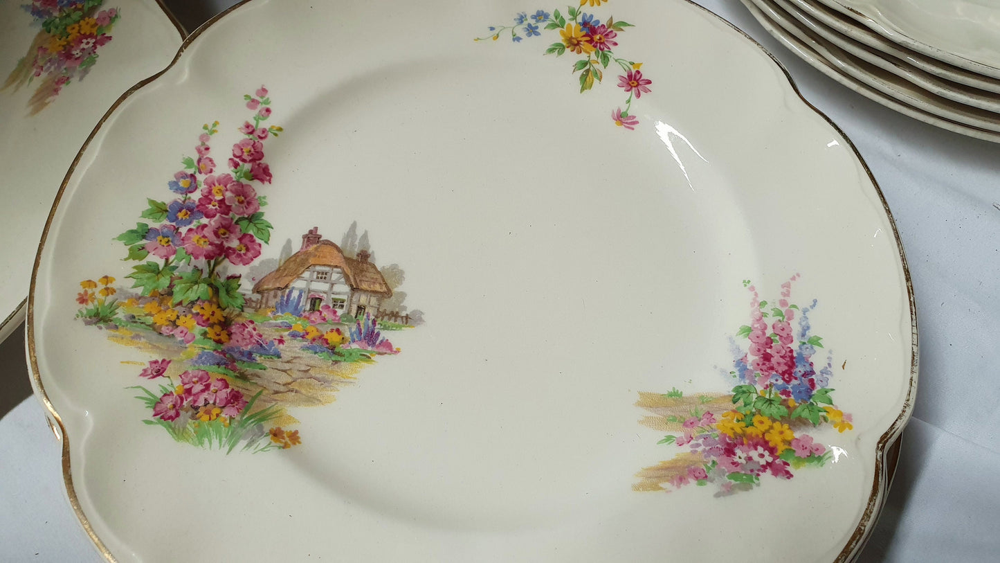 Charming ‘Pareek’ Vintage Retro Cottage Flowers Floral Dinner Service Johnson Brothers Hand Painted