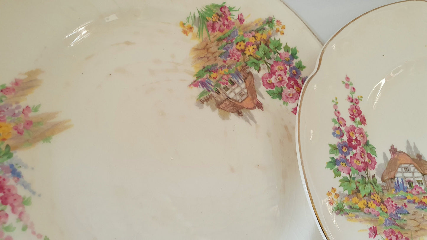 Charming ‘Pareek’ Vintage Retro Cottage Flowers Floral Dinner Service Johnson Brothers Hand Painted