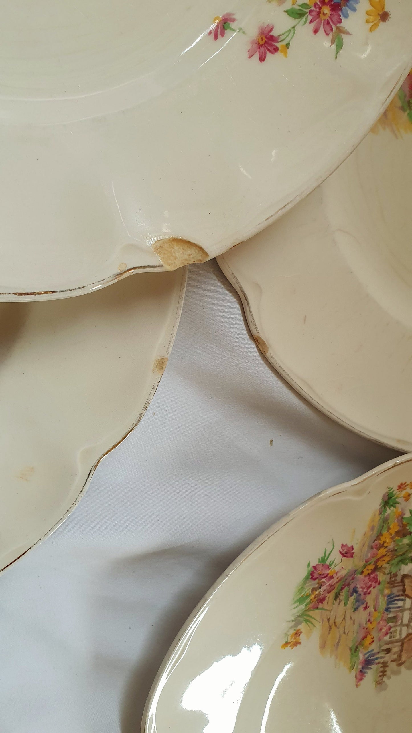 Charming ‘Pareek’ Vintage Retro Cottage Flowers Floral Dinner Service Johnson Brothers Hand Painted