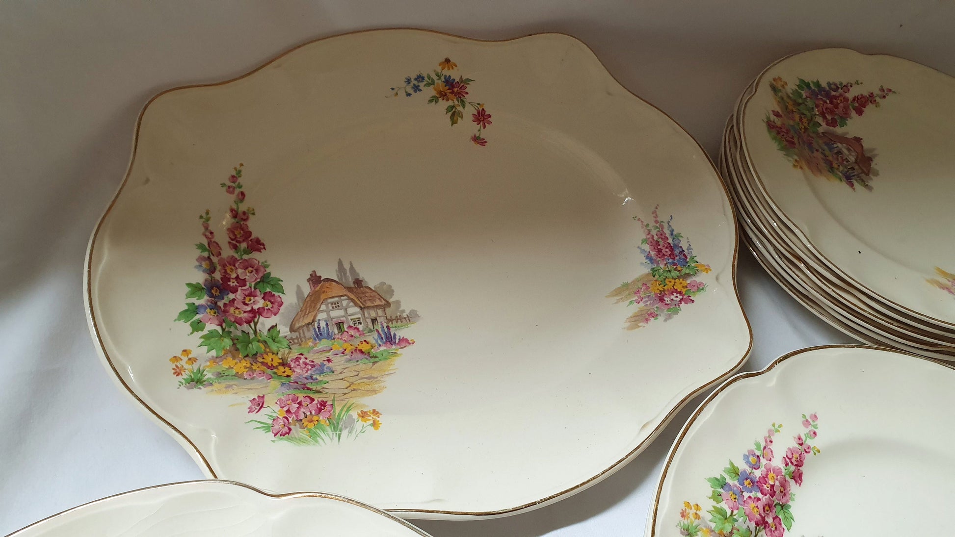 Charming ‘Pareek’ Vintage Retro Cottage Flowers Floral Dinner Service Johnson Brothers Hand Painted