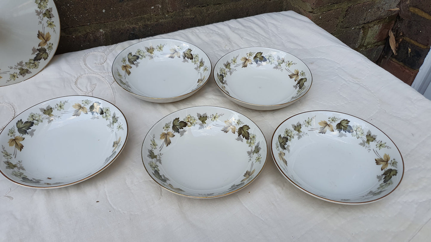 Quality Royal Doulton Bone China Dinner and Tea Service Larchmont Pattern Autumn