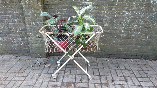 Vintage Victorian French Iron Cot Quirky Plant Storage Home Garden. Fold-up