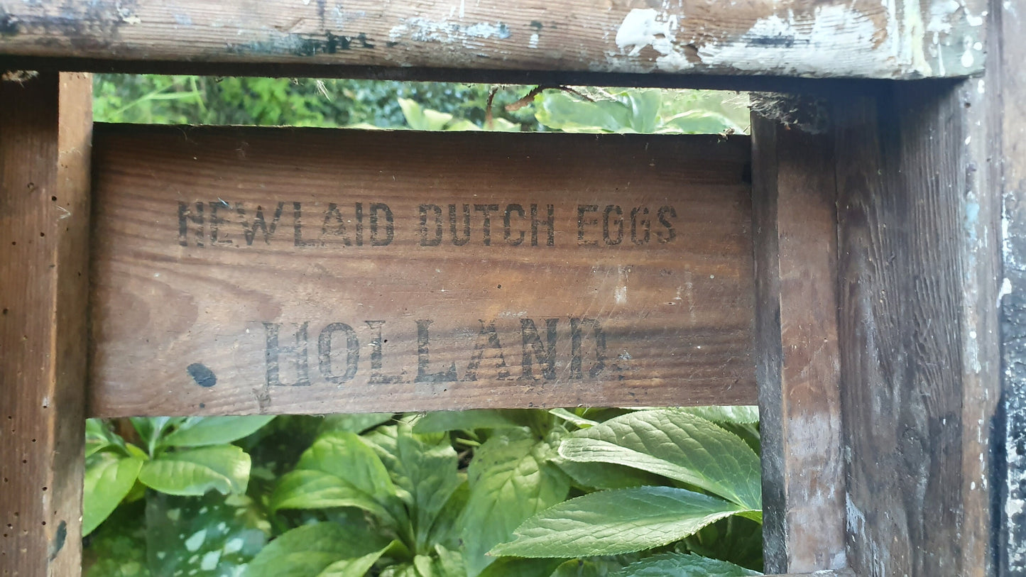 Superb Vintage Step Ladder Marked ‘Newland Dutch Eggs’ Holland Film Prop Shop Display Fold Out.