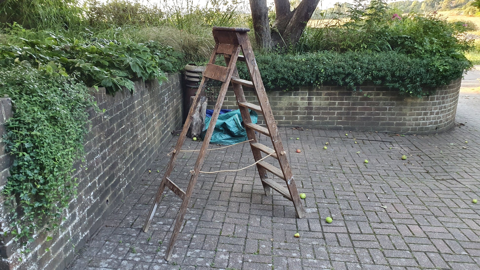 Superb Vintage Step Ladder Marked ‘Newland Dutch Eggs’ Holland Film Prop Shop Display Fold Out.