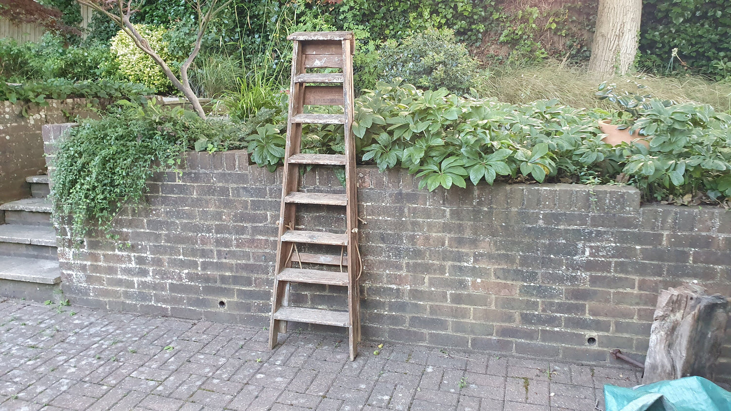 Superb Vintage Step Ladder Marked ‘Newland Dutch Eggs’ Holland Film Prop Shop Display Fold Out.