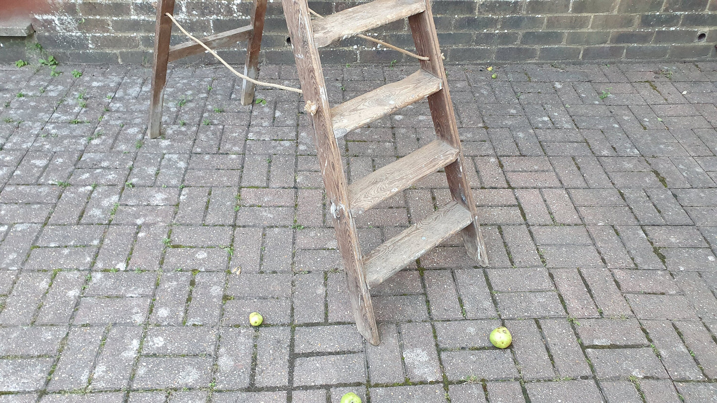 Superb Vintage Step Ladder Marked ‘Newland Dutch Eggs’ Holland Film Prop Shop Display Fold Out.