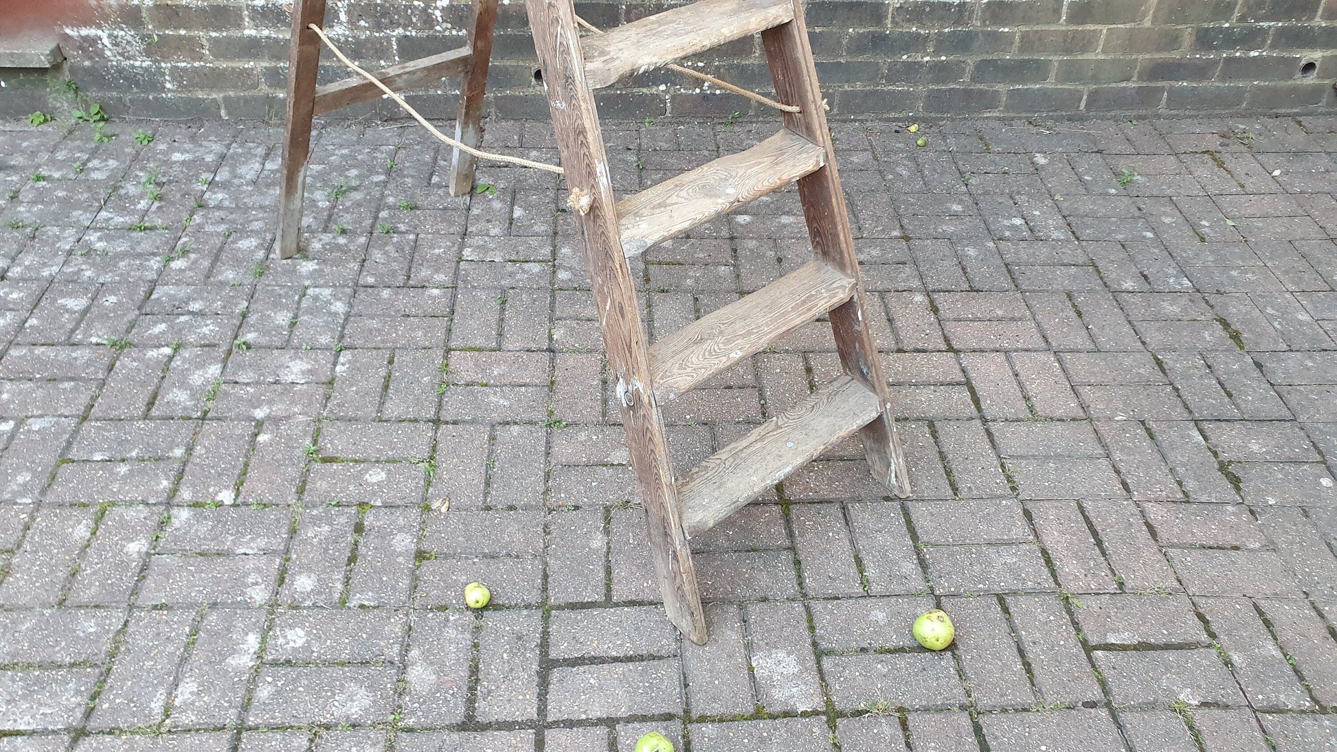 Superb Vintage Step Ladder Marked ‘Newland Dutch Eggs’ Holland Film Prop Shop Display Fold Out.