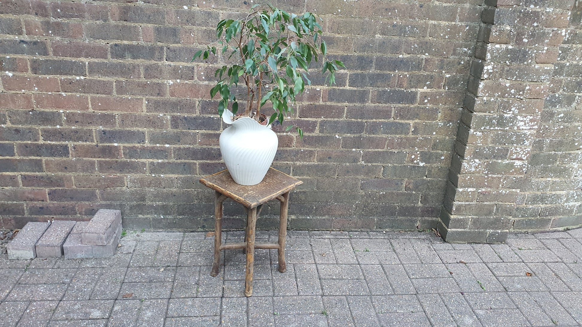 Stunning Vintage Victorian Bamboo Plant Stand.