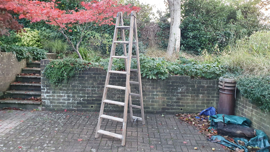 Massive Vintage Pine Step Ladder Also Extends Into Full Double Ladder Shop Display. 12 ft!