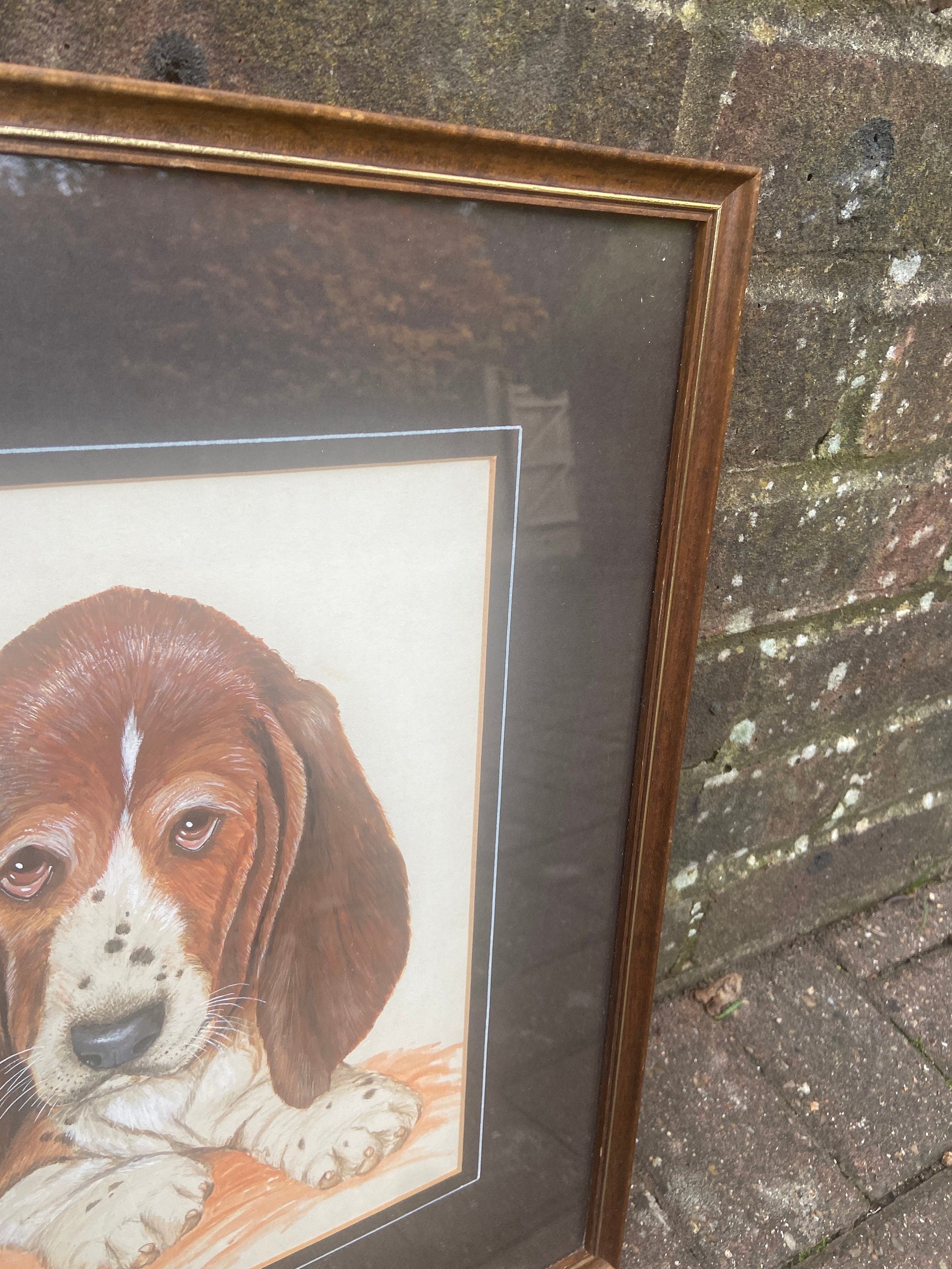 Original Vintage Basset Hound Puppy Dog Watercolour Portrait - "... Son" - Man / Women's Bestfriend, painted by M Morison