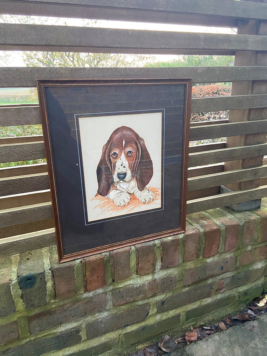 Original Vintage Basset Hound Puppy Dog Watercolour Portrait - "... Son" - Man / Women's Bestfriend, painted by M Morison