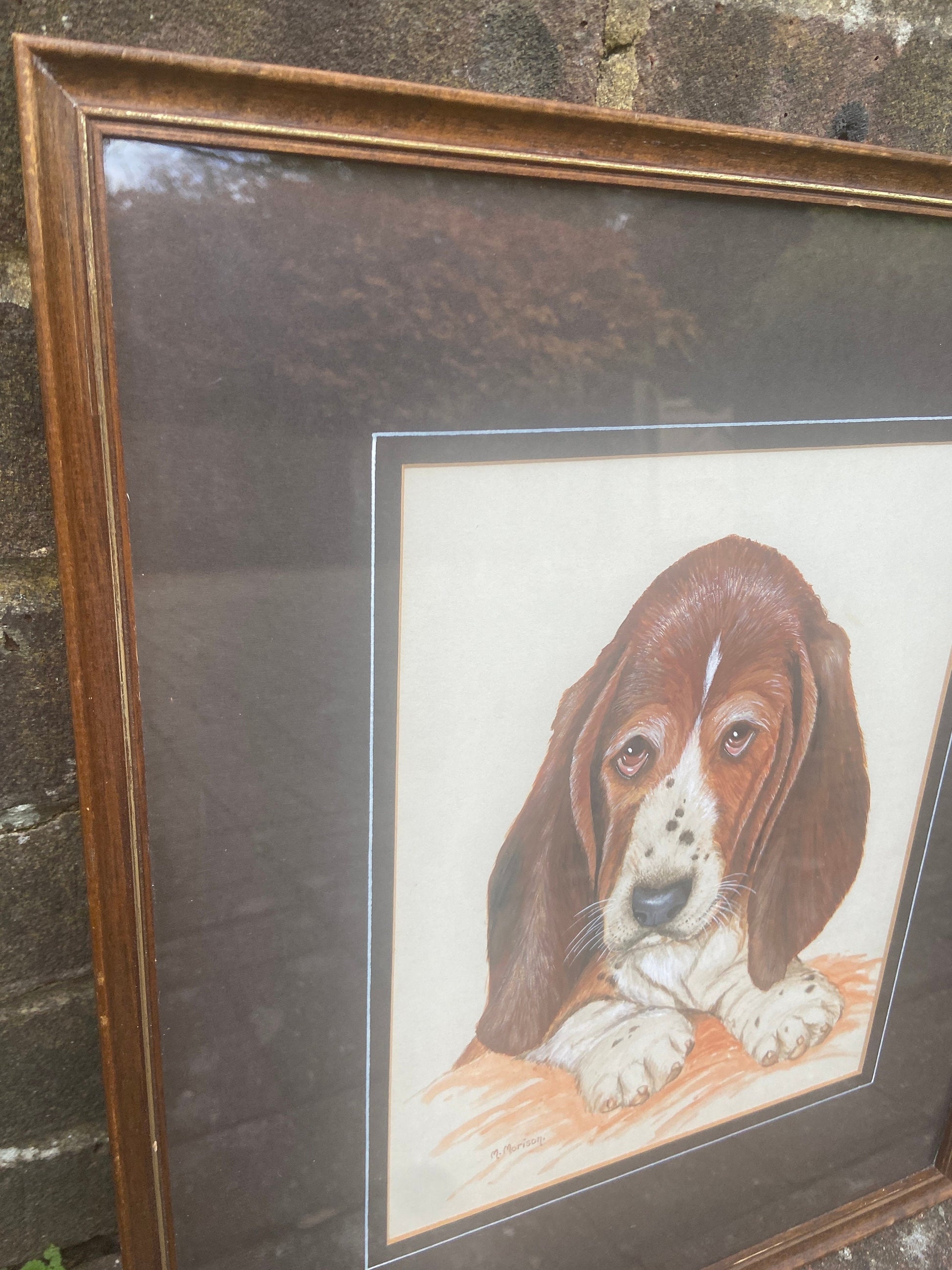 Original Vintage Basset Hound Puppy Dog Watercolour Portrait - "... Son" - Man / Women's Bestfriend, painted by M Morison