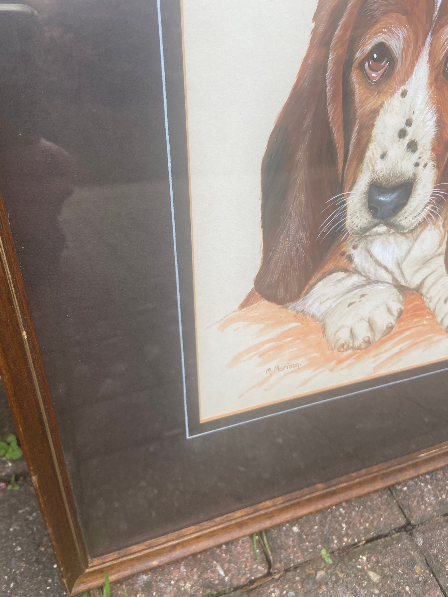 Original Vintage Basset Hound Puppy Dog Watercolour Portrait - "... Son" - Man / Women's Bestfriend, painted by M Morison