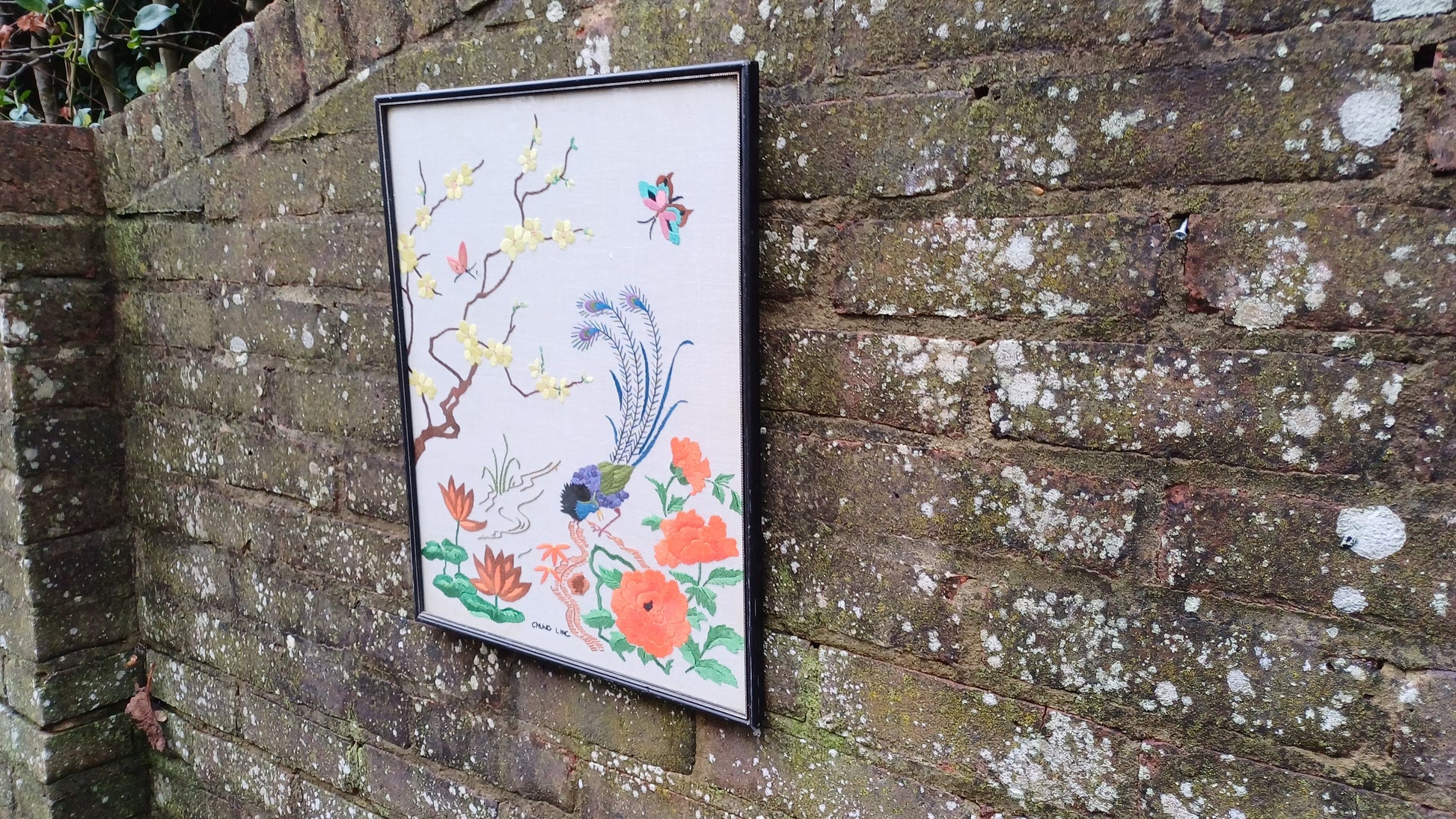 Vintage Chinese Oriental Needlework Embroidery Needlepoint of peacock, blossoms, butterflies and flowers - beautifully done (47cm x 38cm)