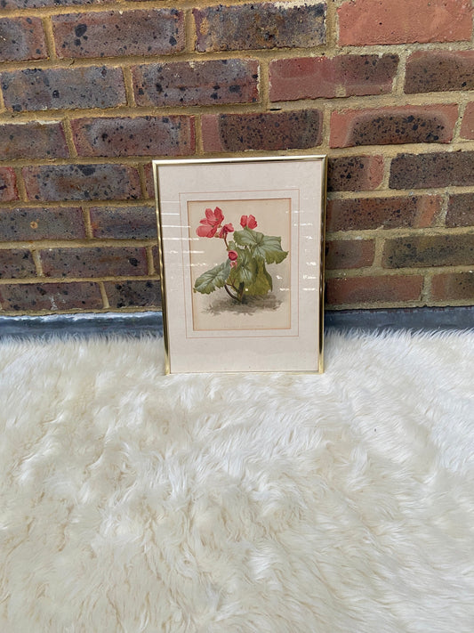 victorianor very oldprintofflowers in a modern gold metal frame