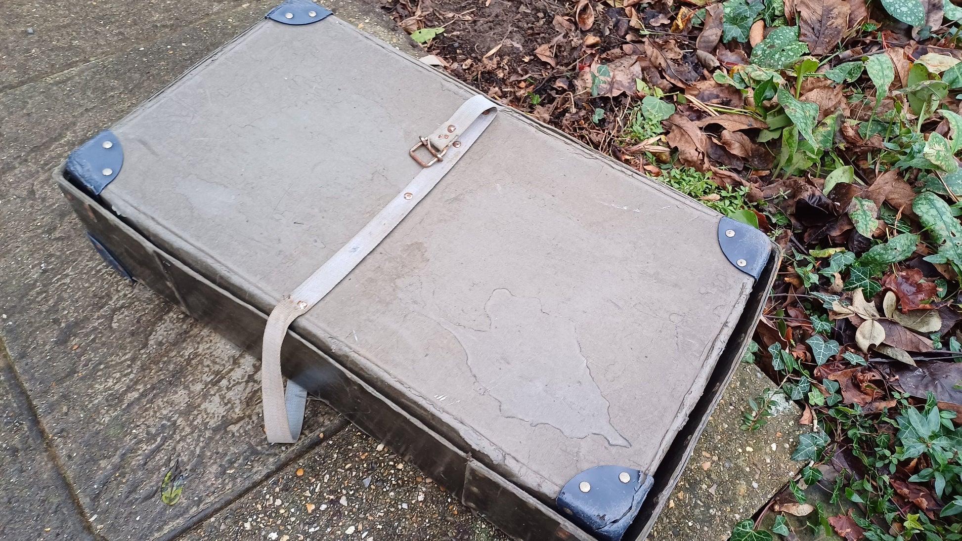 Vintage Storage Box : Harold Road & Ridge Hastings Dry Cleaners and Launderers made by Enfield Box Co. (34cm x 51cm x 15cm)