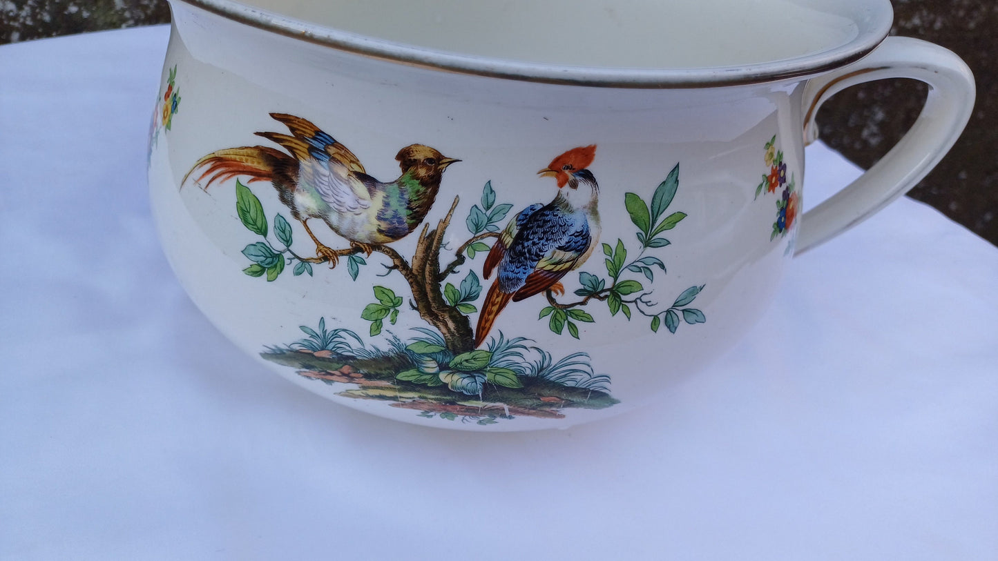 Victorian Potty Chamber Pot Planter - with Birds of Paradise and plants 14cm tall, 26cm diameter E2E