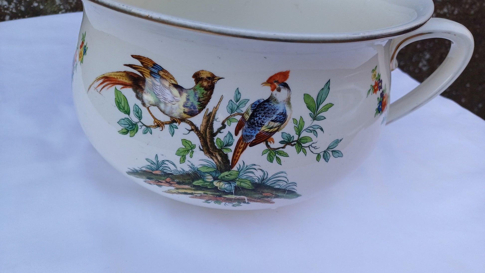 Victorian Potty Chamber Pot Planter - with Birds of Paradise and plants 14cm tall, 26cm diameter E2E