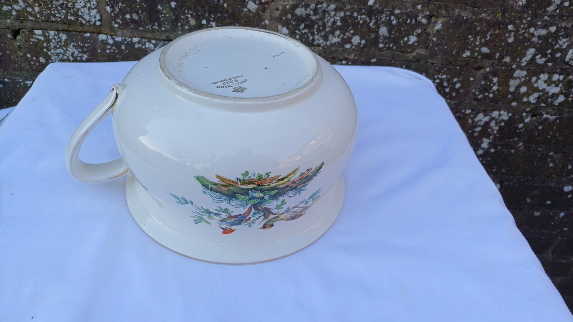 Victorian Potty Chamber Pot Planter - with Birds of Paradise and plants 14cm tall, 26cm diameter E2E