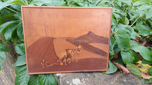 Marquetry Landscape - woodcraft - man and a plough - vintage - vgc (24cm x 31cm)