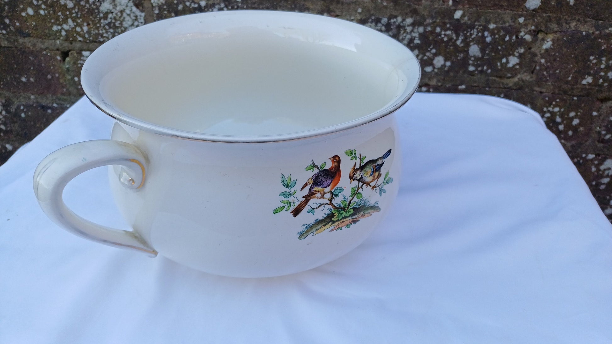 Victorian Potty Chamber Pot Planter - with Birds of Paradise and plants 14cm tall, 26cm diameter E2E