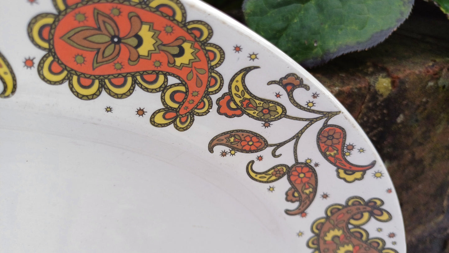 Two Pair of Vintage Retro Midwinter Serving Plates Fish Meat or Pastries Mid 20th Century Excellent Condition Sienna and Baroque