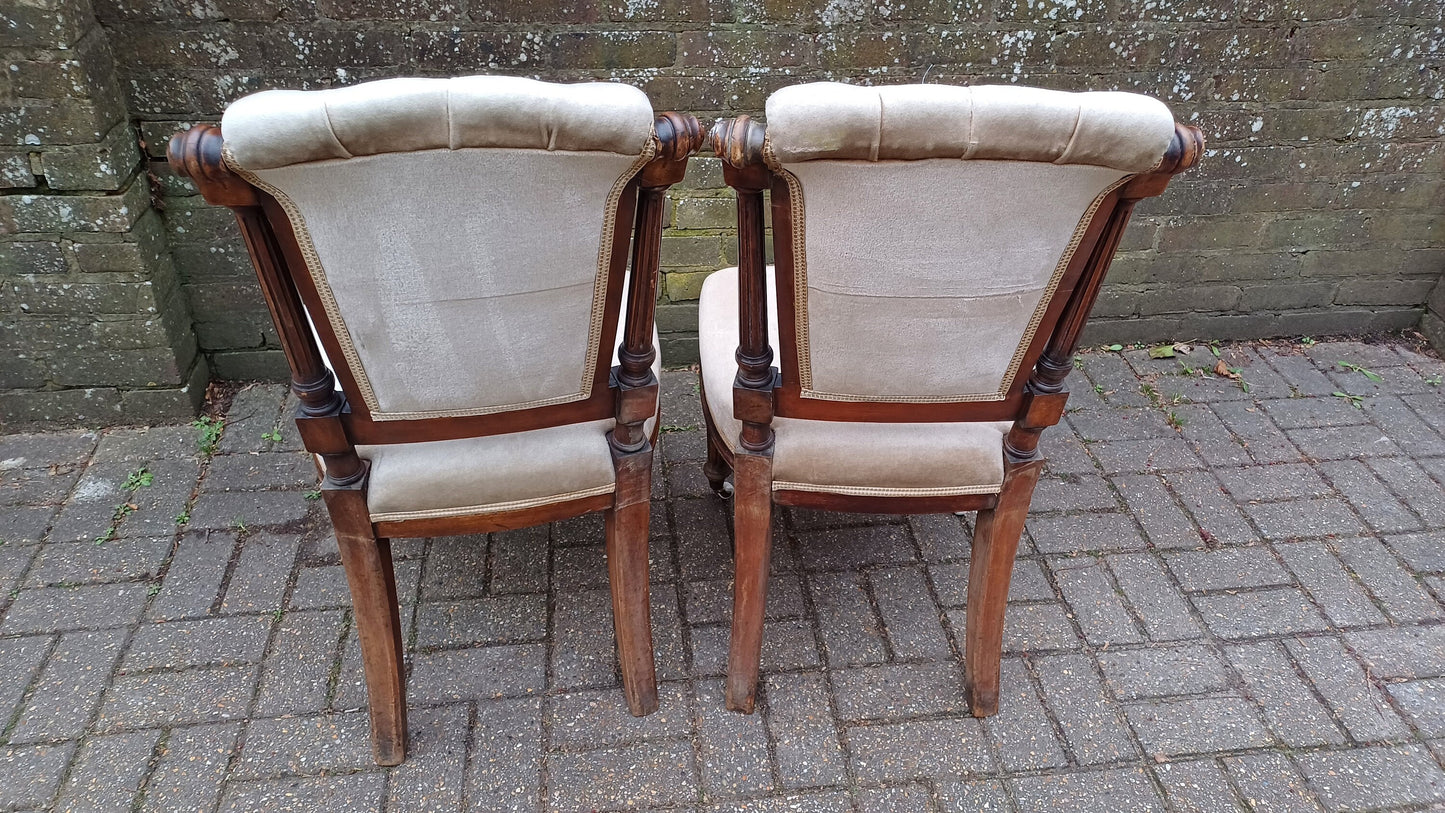 Outstanding Pair or Upholstered Vintage Victorian Mahogany Dining or Occasional Chairs.