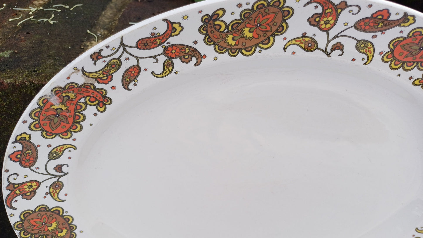 Two Pair of Vintage Retro Midwinter Serving Plates Fish Meat or Pastries Mid 20th Century Excellent Condition Sienna and Baroque