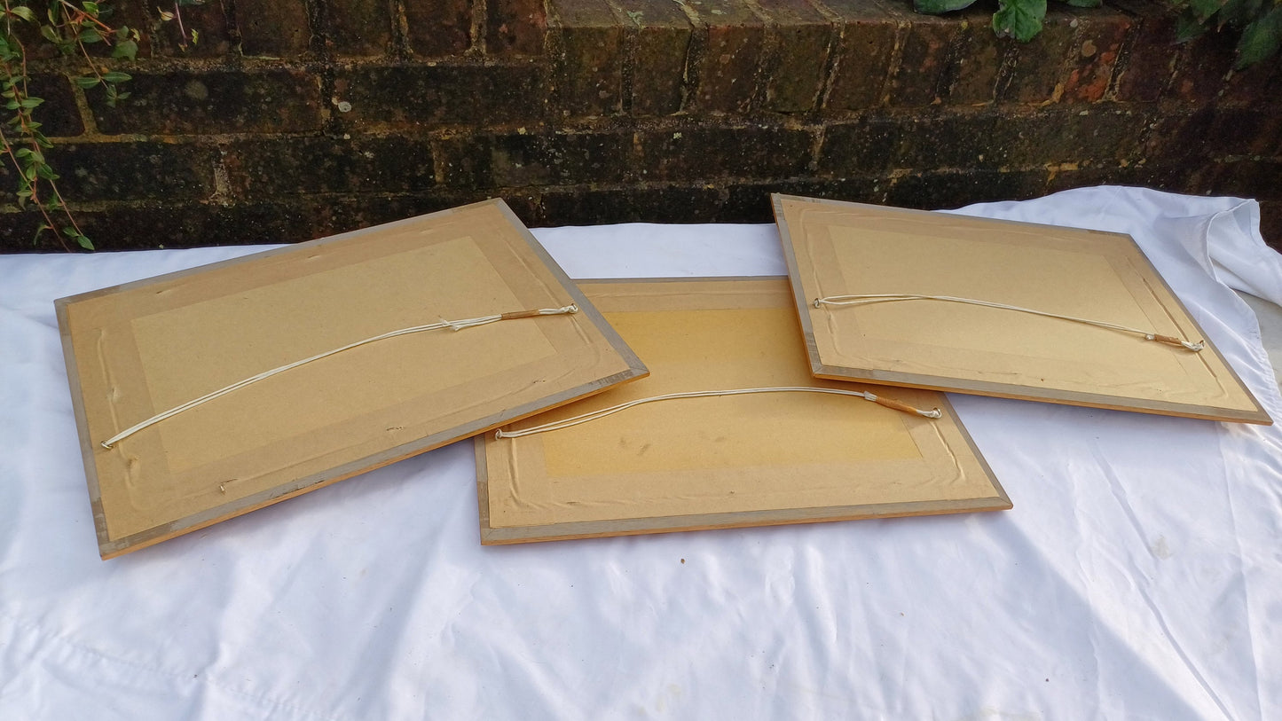 Three Vintage Motorcycle Advertising Prints 'SS100' Alpine Grand Sports and 'Pendine' George Brough with Wooden Picture Frames and Mounts.
