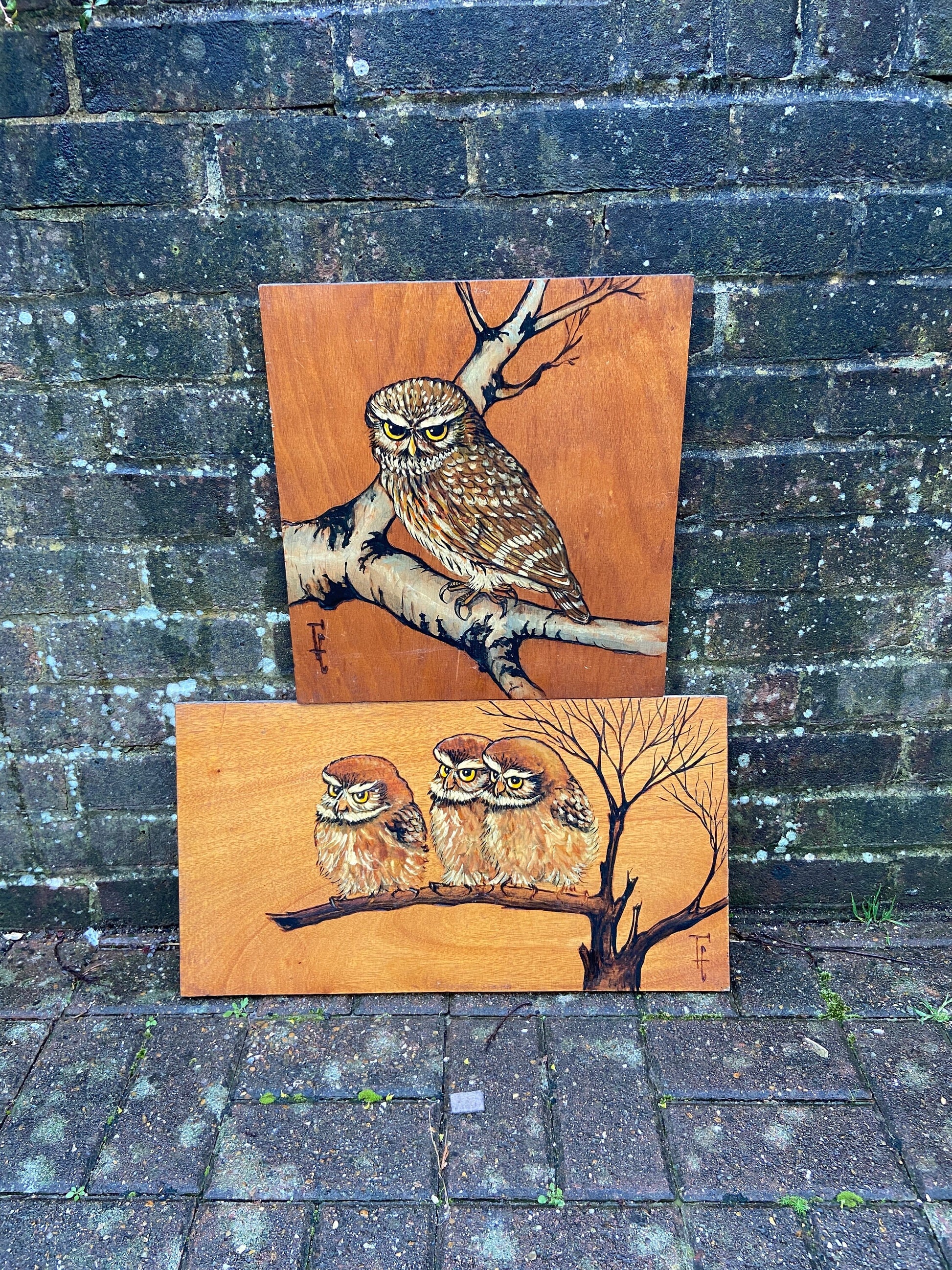 Two Vintage Blockwood Acrylic Paintings of Owls Portrait (Little Owls, Wildlife) - mixed media with pyrography (?) and acrylic paint