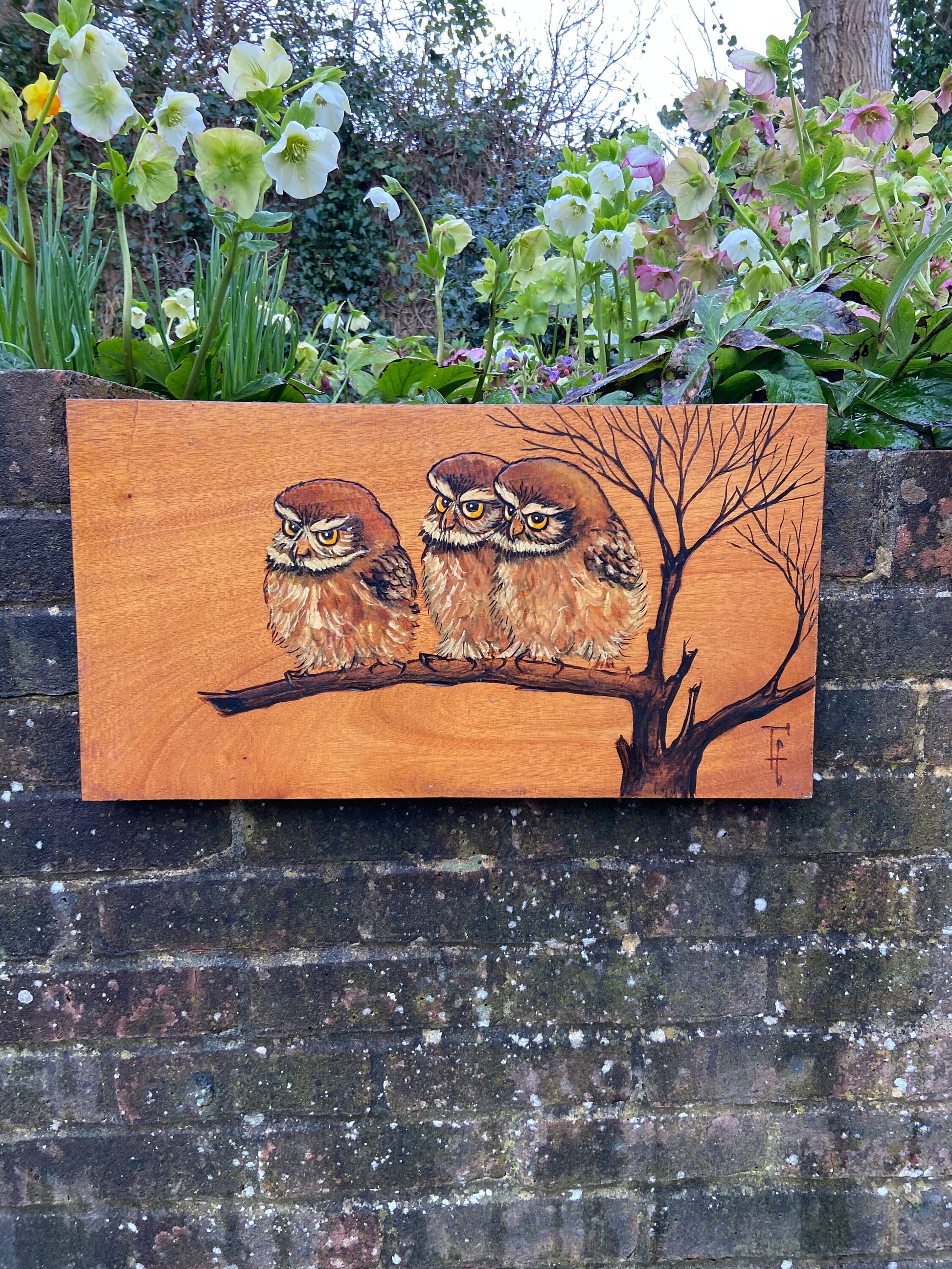 Two Vintage Blockwood Acrylic Paintings of Owls Portrait (Little Owls, Wildlife) - mixed media with pyrography (?) and acrylic paint