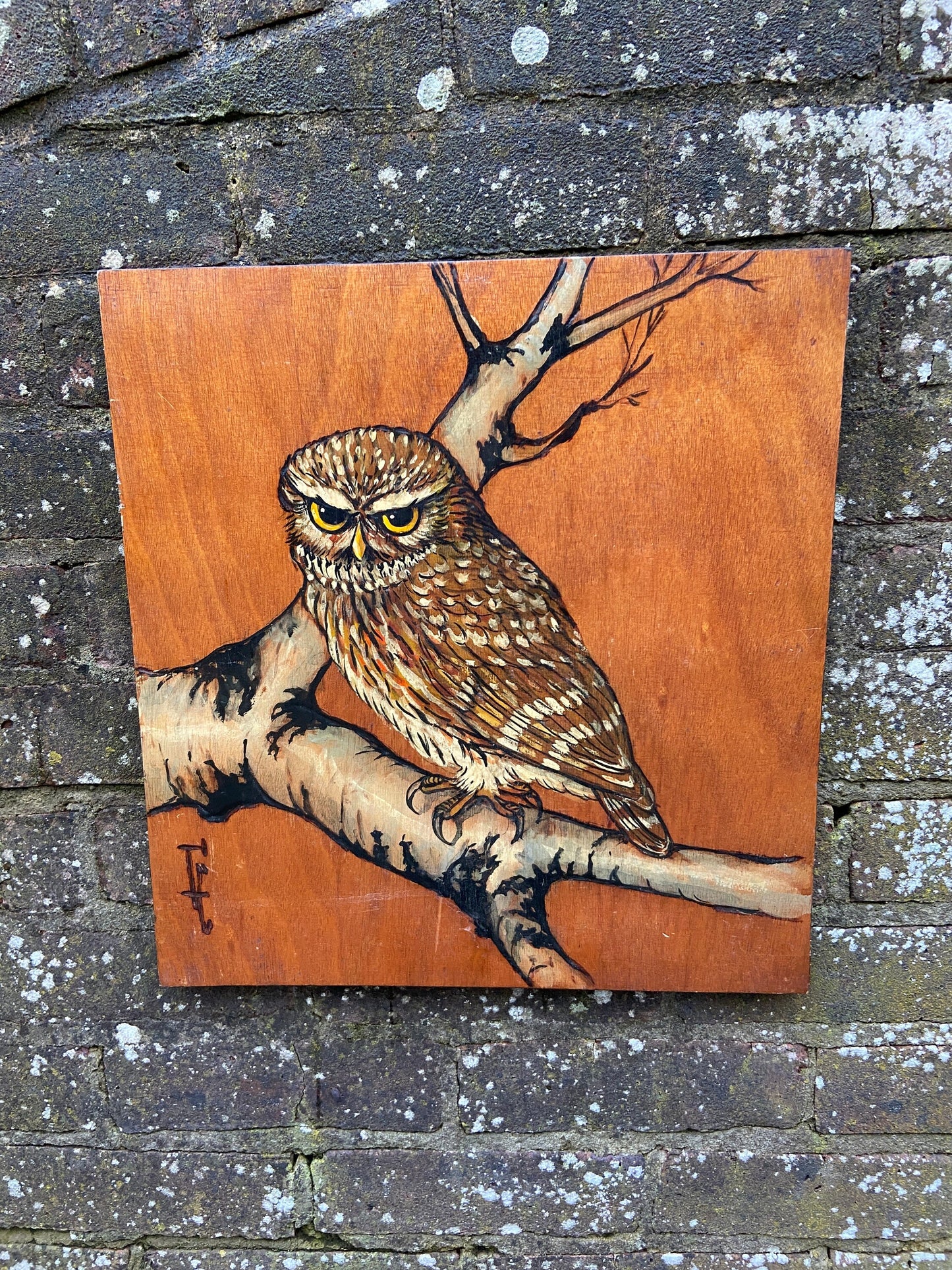 Two Vintage Blockwood Acrylic Paintings of Owls Portrait (Little Owls, Wildlife) - mixed media with pyrography (?) and acrylic paint
