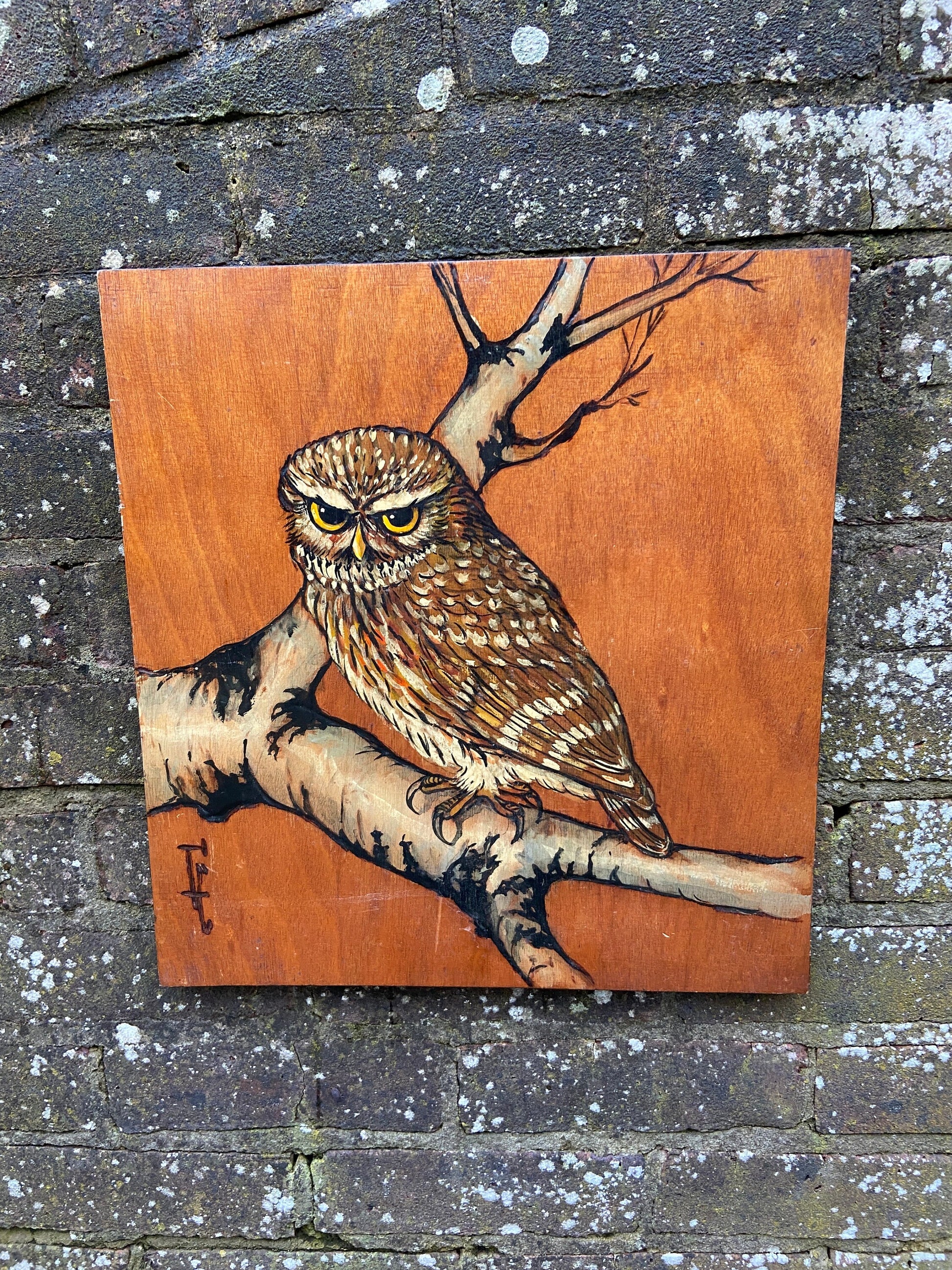 Two Vintage Blockwood Acrylic Paintings of Owls Portrait (Little Owls, Wildlife) - mixed media with pyrography (?) and acrylic paint