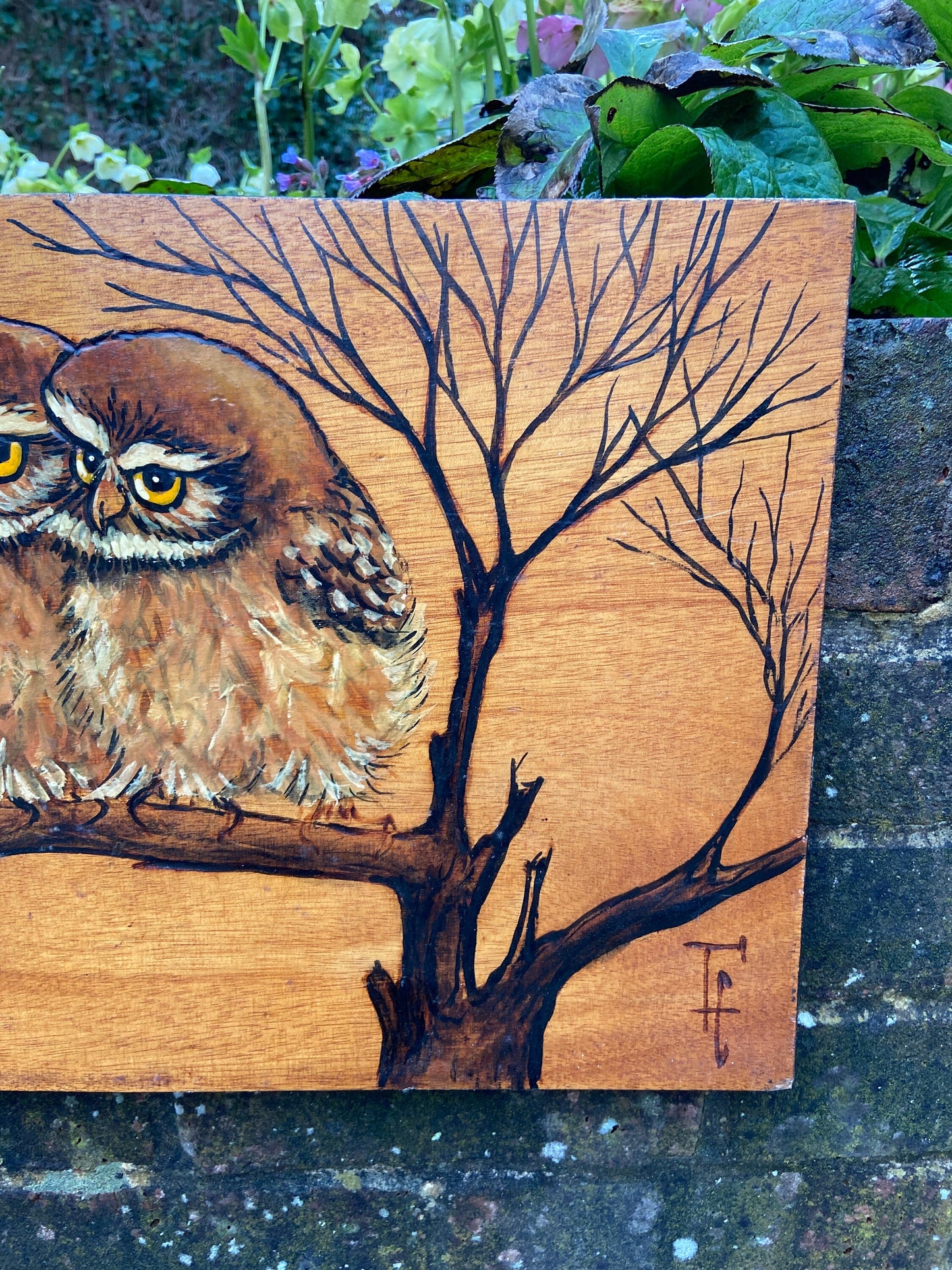 Two Vintage Blockwood Acrylic Paintings of Owls Portrait (Little Owls, Wildlife) - mixed media with pyrography (?) and acrylic paint