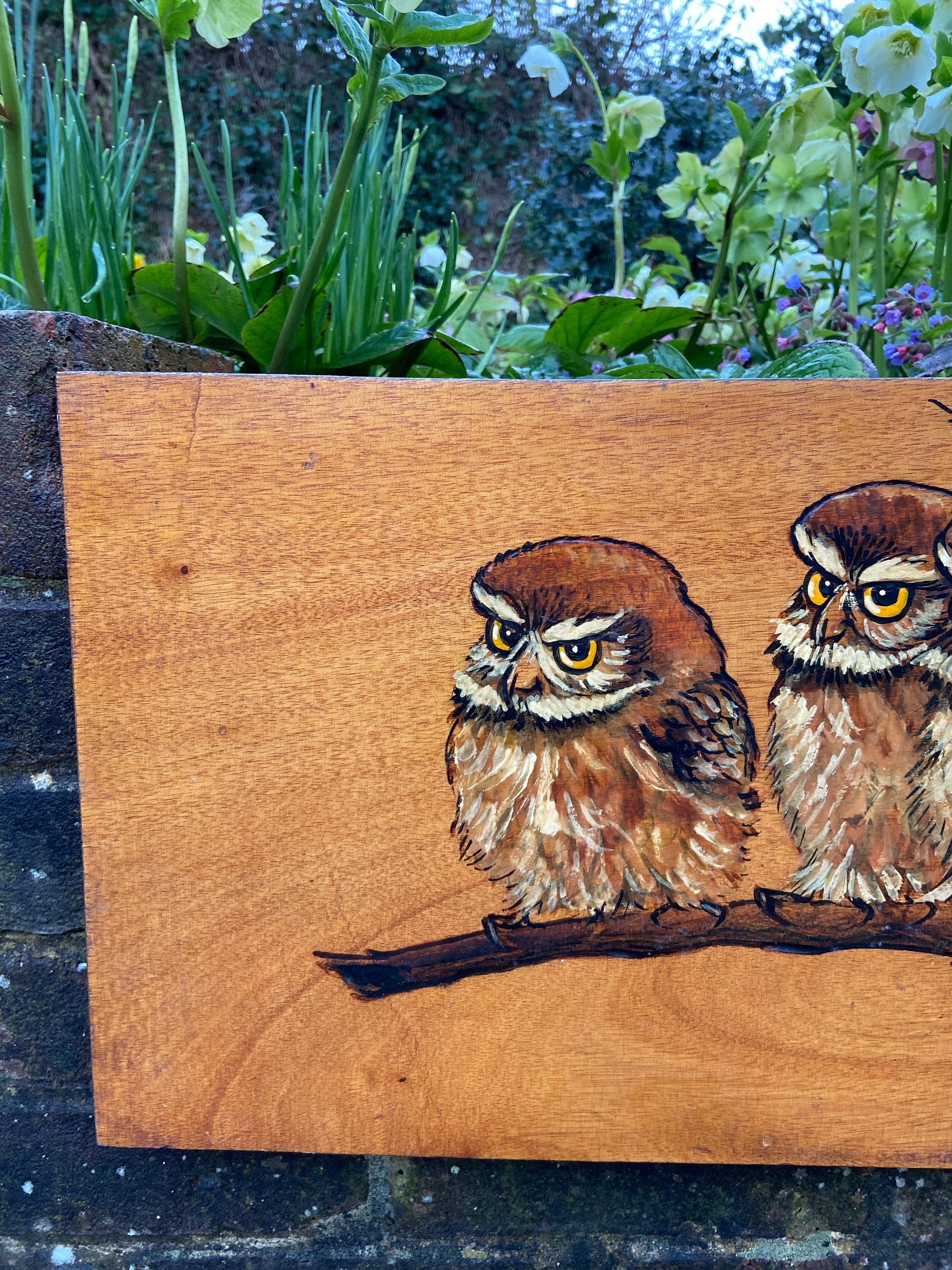 Two Vintage Blockwood Acrylic Paintings of Owls Portrait (Little Owls, Wildlife) - mixed media with pyrography (?) and acrylic paint