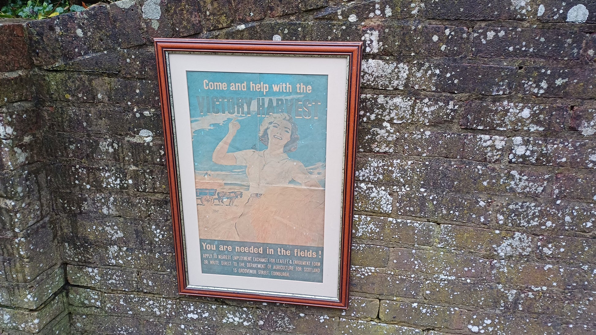 Genuine Vintage WW2 Poster in Modern Frame Presentation 'Come and help with the Victory Harvest'