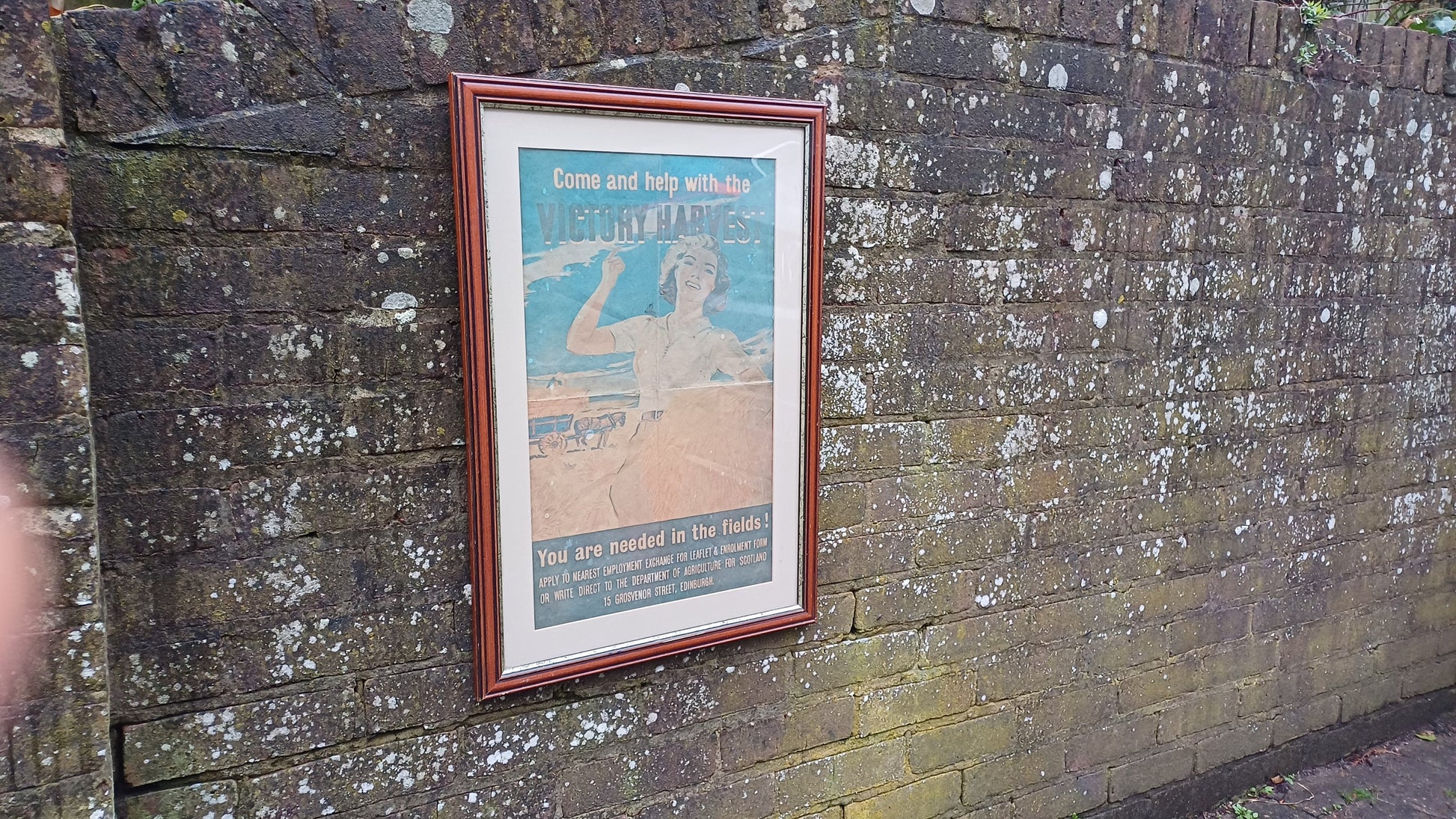 Genuine Vintage WW2 Poster in Modern Frame Presentation 'Come and help with the Victory Harvest'