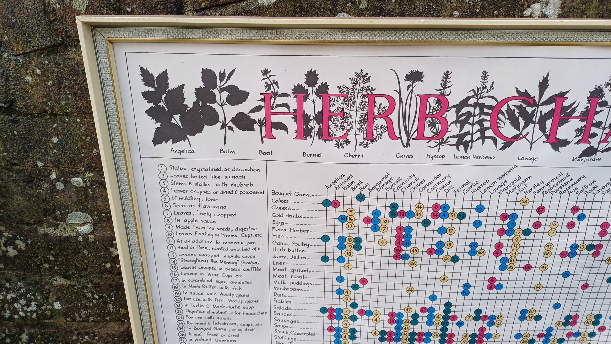 1960s Culinary Herb Chart - outstanding and useful - printed copy by H Dalton Clifford - very large 85.5cm x 62.5cm