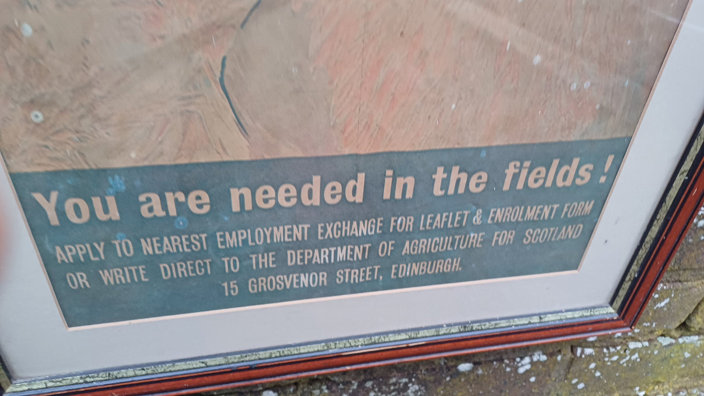 Genuine Vintage WW2 Poster in Modern Frame Presentation 'Come and help with the Victory Harvest'