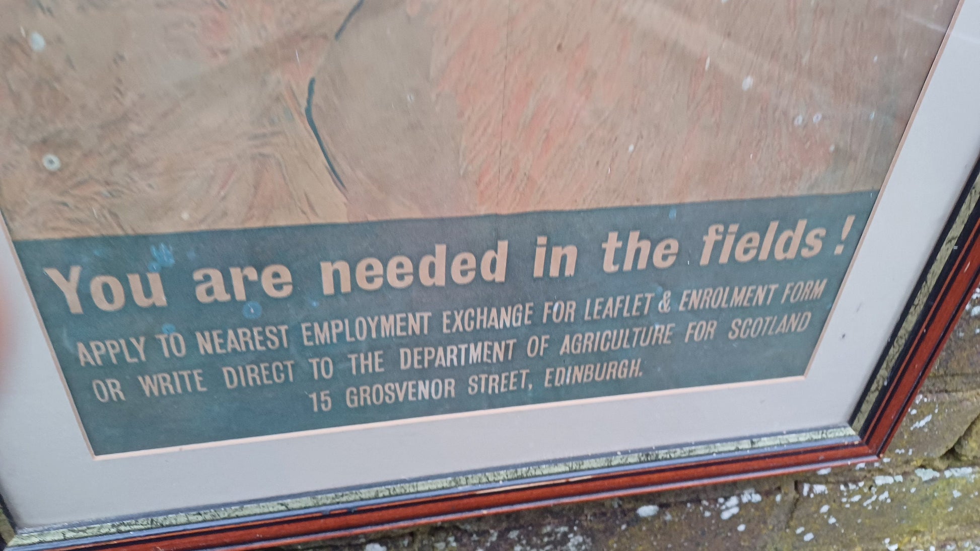 Genuine Vintage WW2 Poster in Modern Frame Presentation 'Come and help with the Victory Harvest'