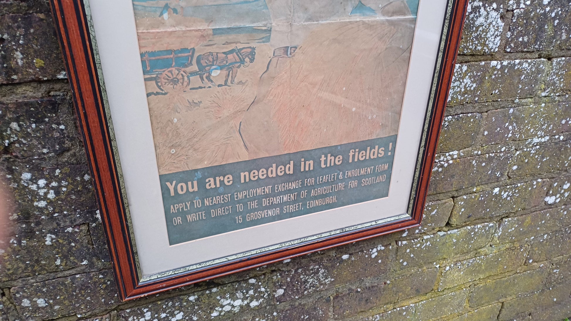 Genuine Vintage WW2 Poster in Modern Frame Presentation 'Come and help with the Victory Harvest'