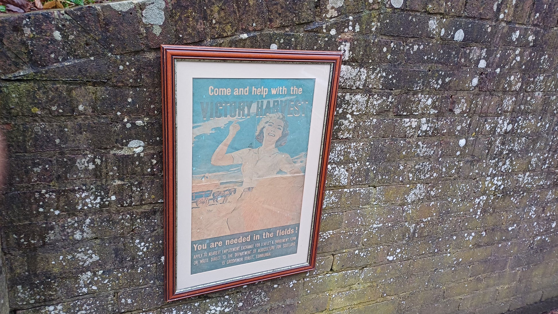 Genuine Vintage WW2 Poster in Modern Frame Presentation 'Come and help with the Victory Harvest'