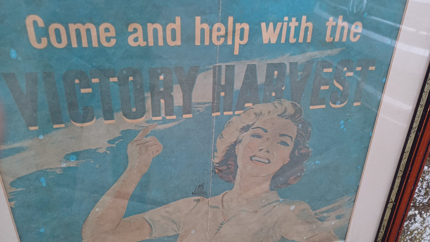 Genuine Vintage WW2 Poster in Modern Frame Presentation 'Come and help with the Victory Harvest'