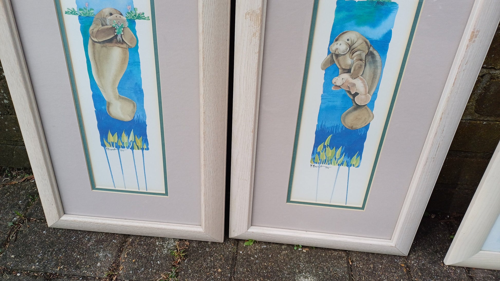 4 Sea Nautical Prints Sailing Seals 2 Pairs Wooden Frames. Paul Brent.