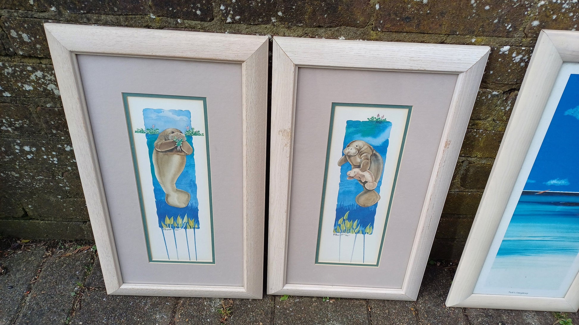4 Sea Nautical Prints Sailing Seals 2 Pairs Wooden Frames. Paul Brent.