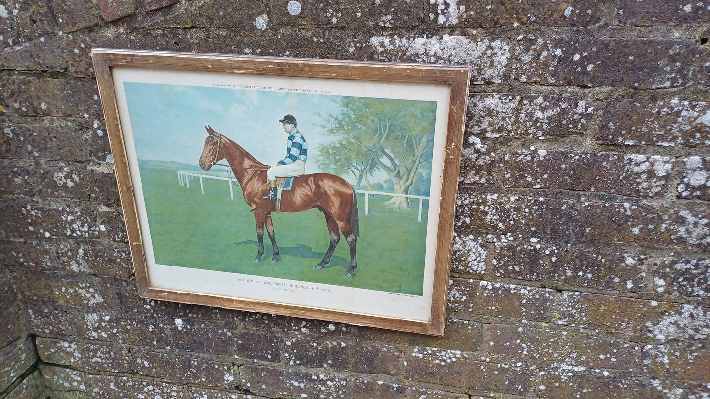Large Wool Winder Horse Racing Portrait Antique Colour Print Equestrian St Leger British History Framed 55 x 44 cm